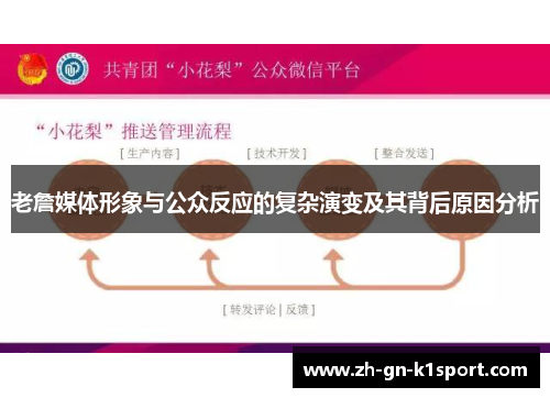 老詹媒体形象与公众反应的复杂演变及其背后原因分析