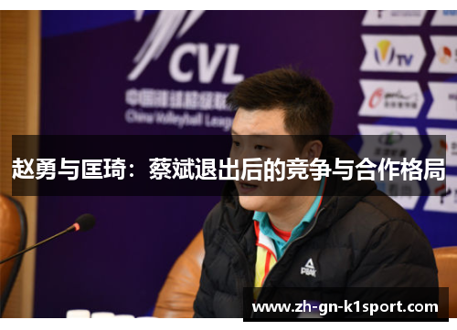 赵勇与匡琦：蔡斌退出后的竞争与合作格局