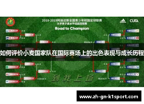 如何评价小麦国家队在国际赛场上的出色表现与成长历程